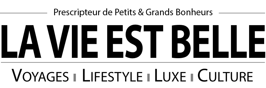 Logo media la vie est belle